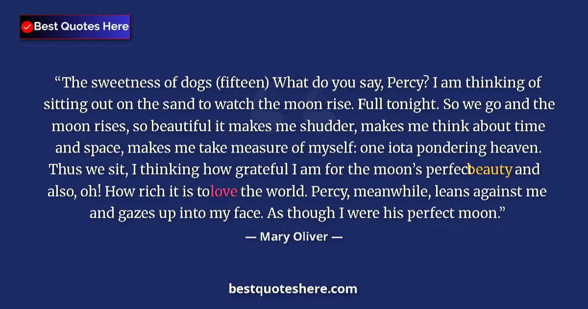 Quote by Mary Oliver: The sweetness of dogs (fifteen) What do you say, Percy? I am thinking of sitting out on the sand to ...