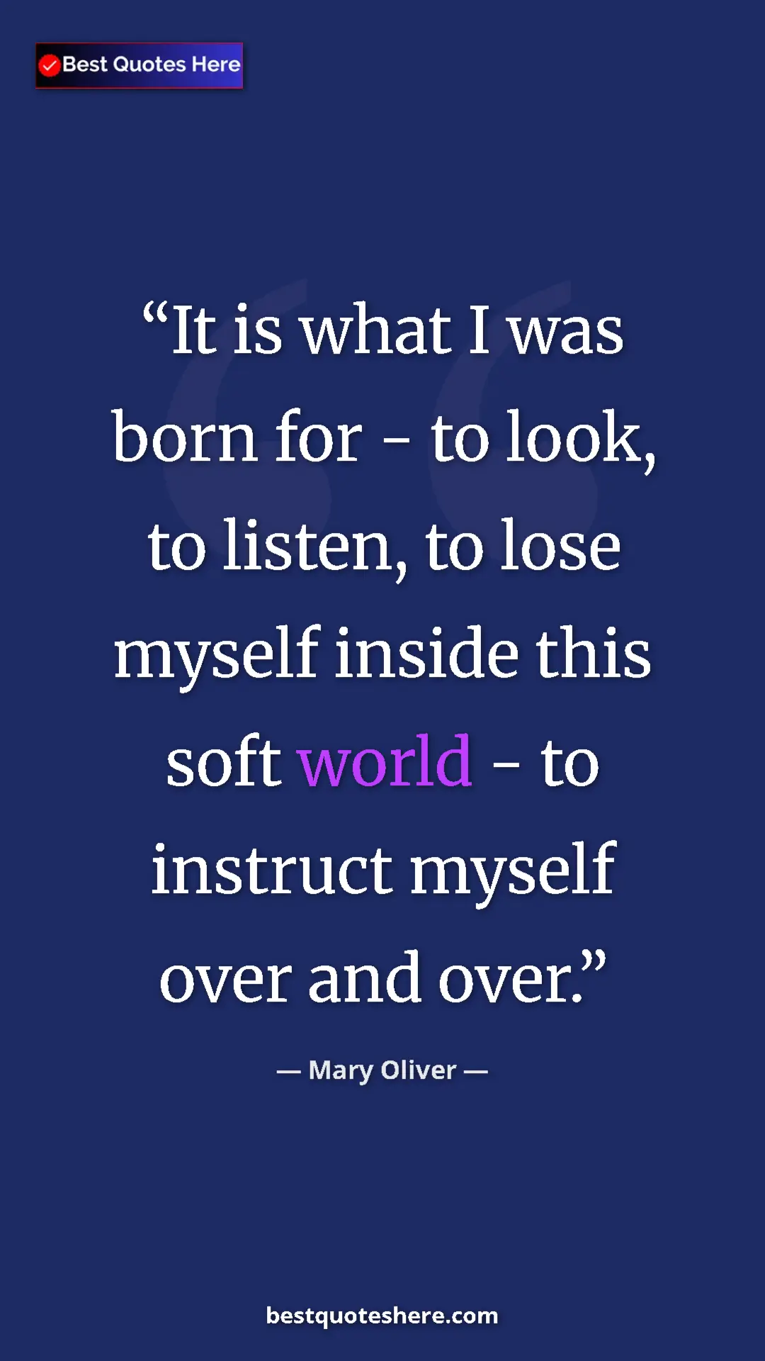 Pinterest quote poster by Mary Oliver: "It is what I was born for - to look, to listen, to lose..."
