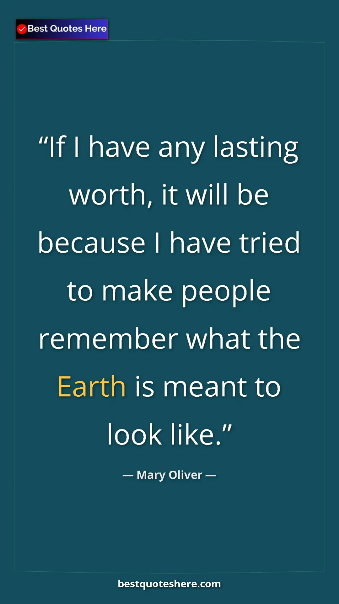 Pinterest quote poster by Mary Oliver: "If I have any lasting worth, it will be because I have..."