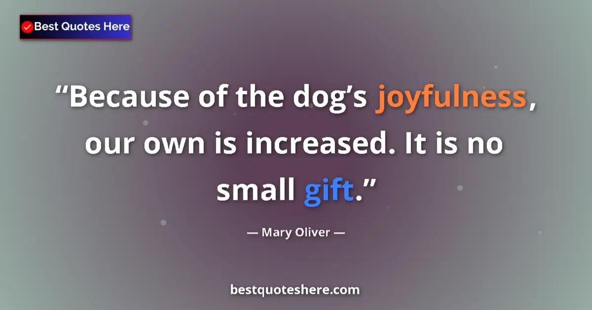 Quote by Mary Oliver: Because of the dog’s joyfulness, our own is increased. It is no small gift....