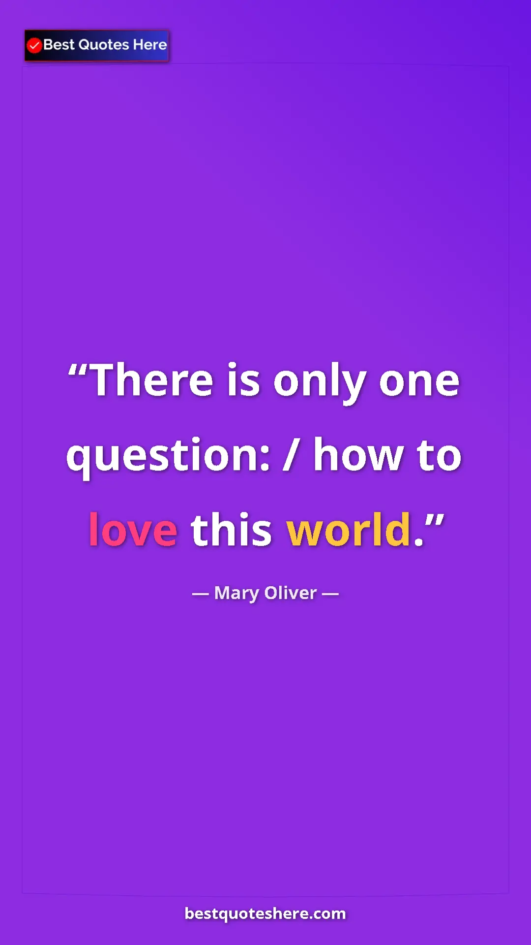 Pinterest quote poster by Mary Oliver: "There is only one question: / how to love this world."