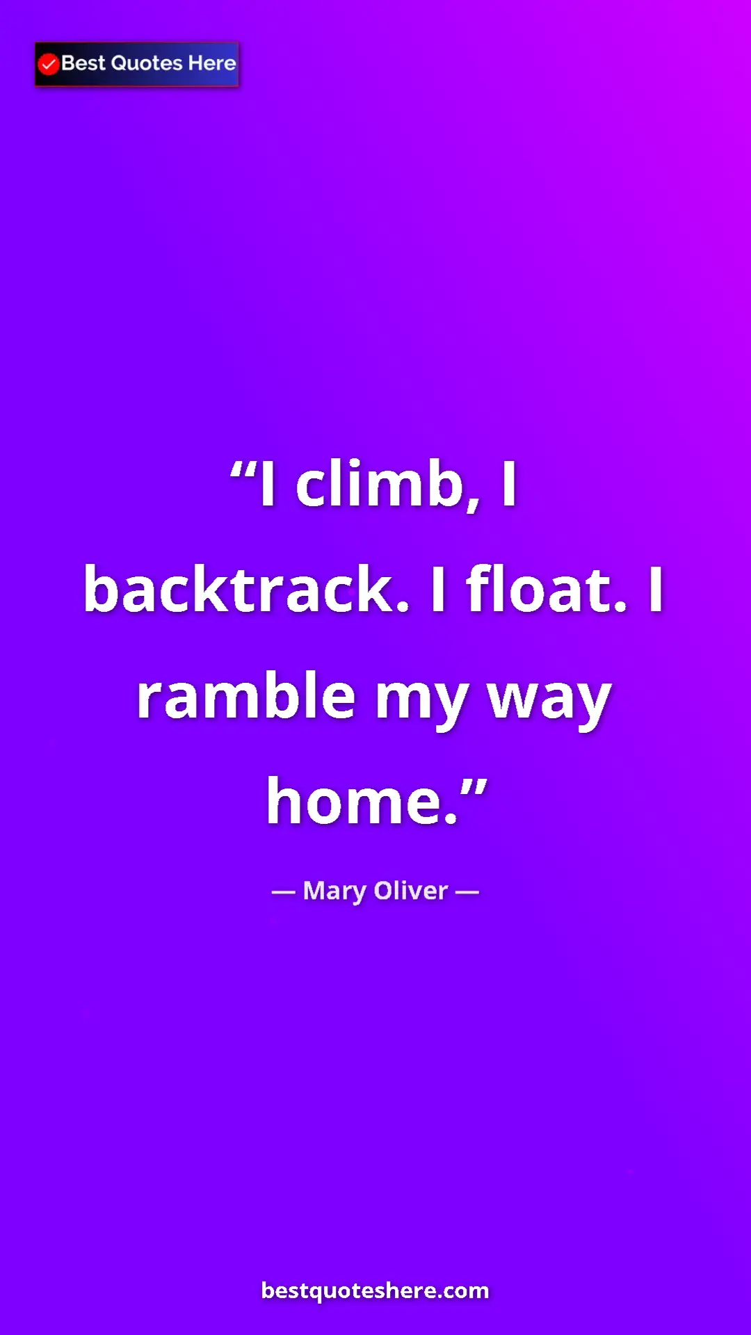 Pinterest quote poster by Mary Oliver: "I climb, I backtrack. I float. I ramble my way home."