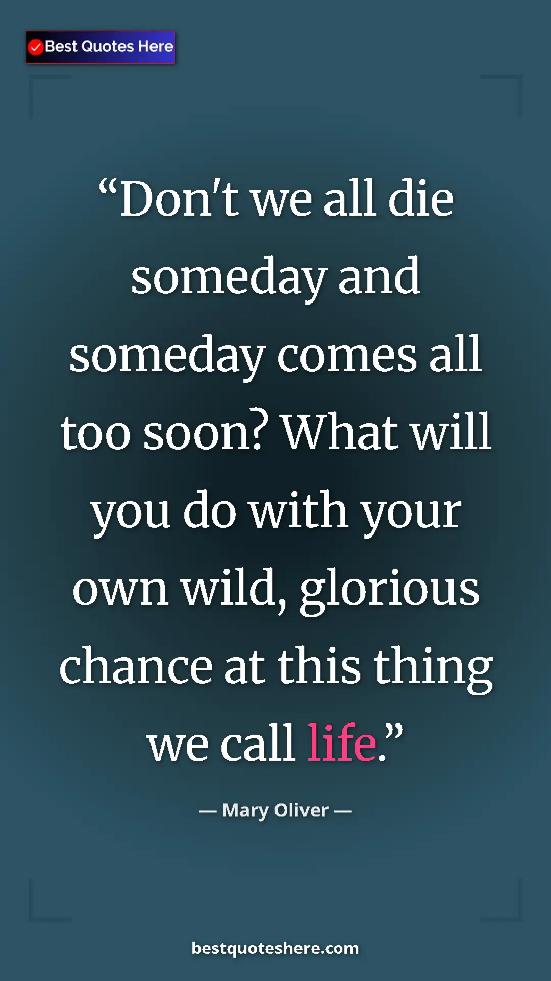 Pinterest quote poster by Mary Oliver: "Don't we all die someday and someday comes all too soon?..."