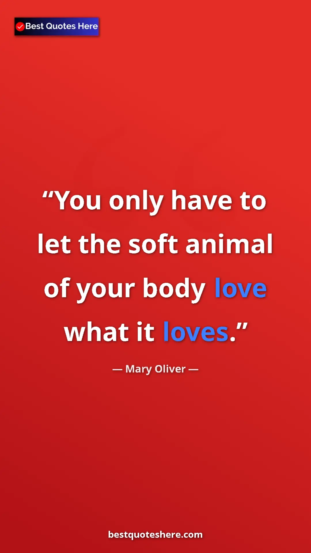 Pinterest quote poster by Mary Oliver: "You only have to let the soft animal of your body love what..."