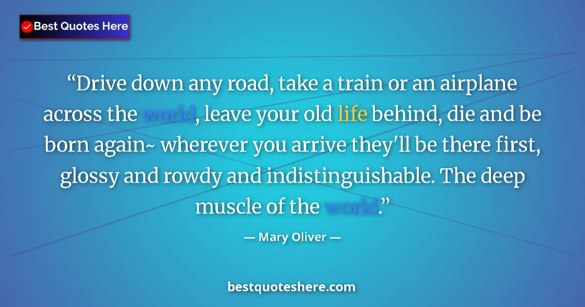 Quote by Mary Oliver: Drive down any road, take a train or an airplane a