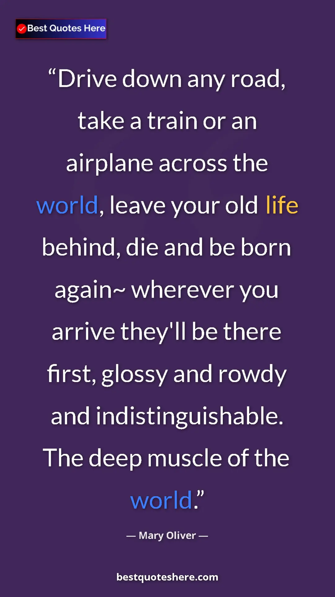 Pinterest quote poster by Mary Oliver: "Drive down any road, take a train or an airplane across the..."