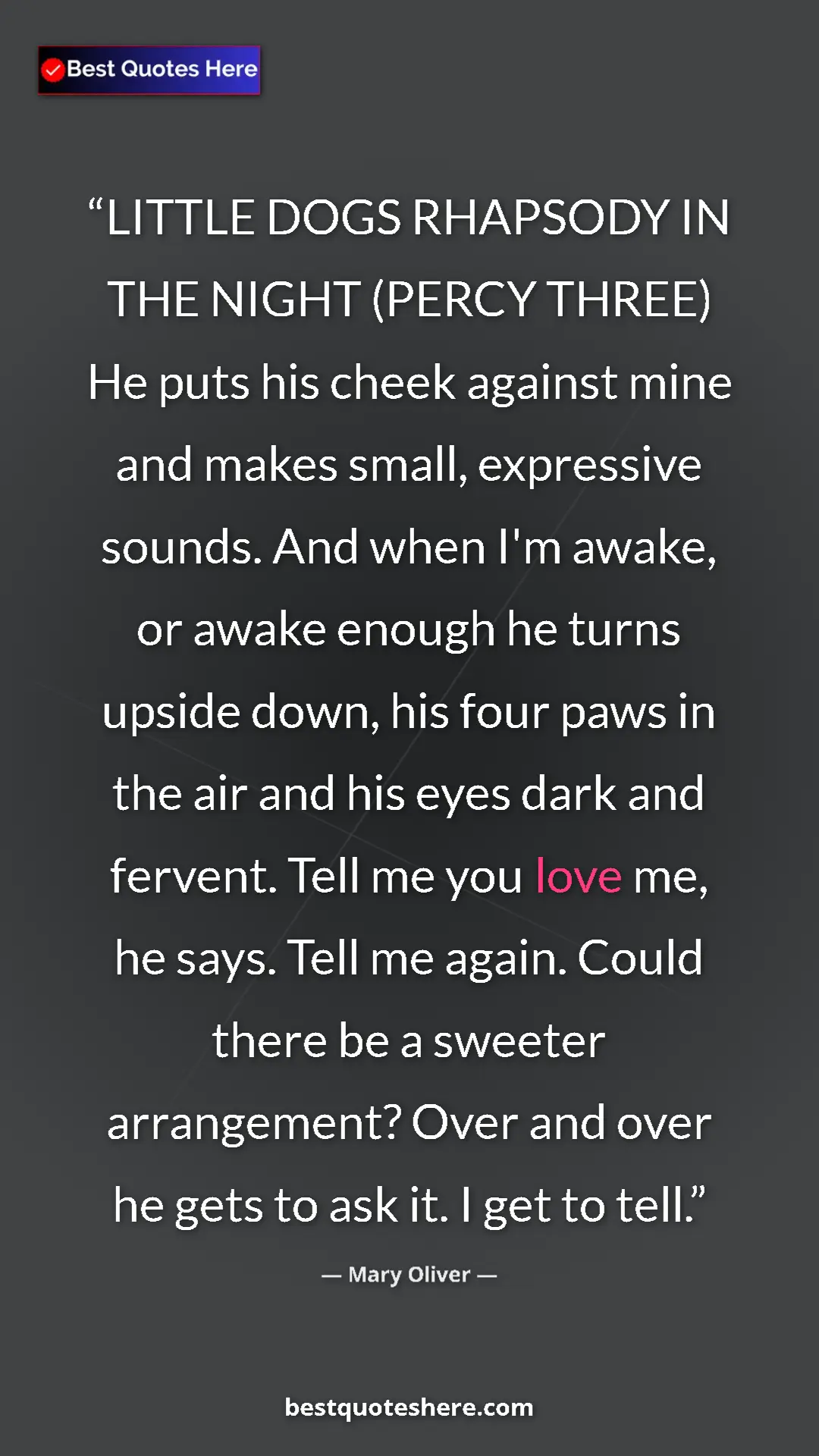 Mary Oliver Quote Card: "LITTLE DOGS RHAPSODY IN THE NIGHT (PERCY THREE) He puts his..." Pinterest quote poster by Mary Oliver: "LITTLE DOGS RHAPSODY IN THE NIGHT (PERCY THREE) He puts his..."