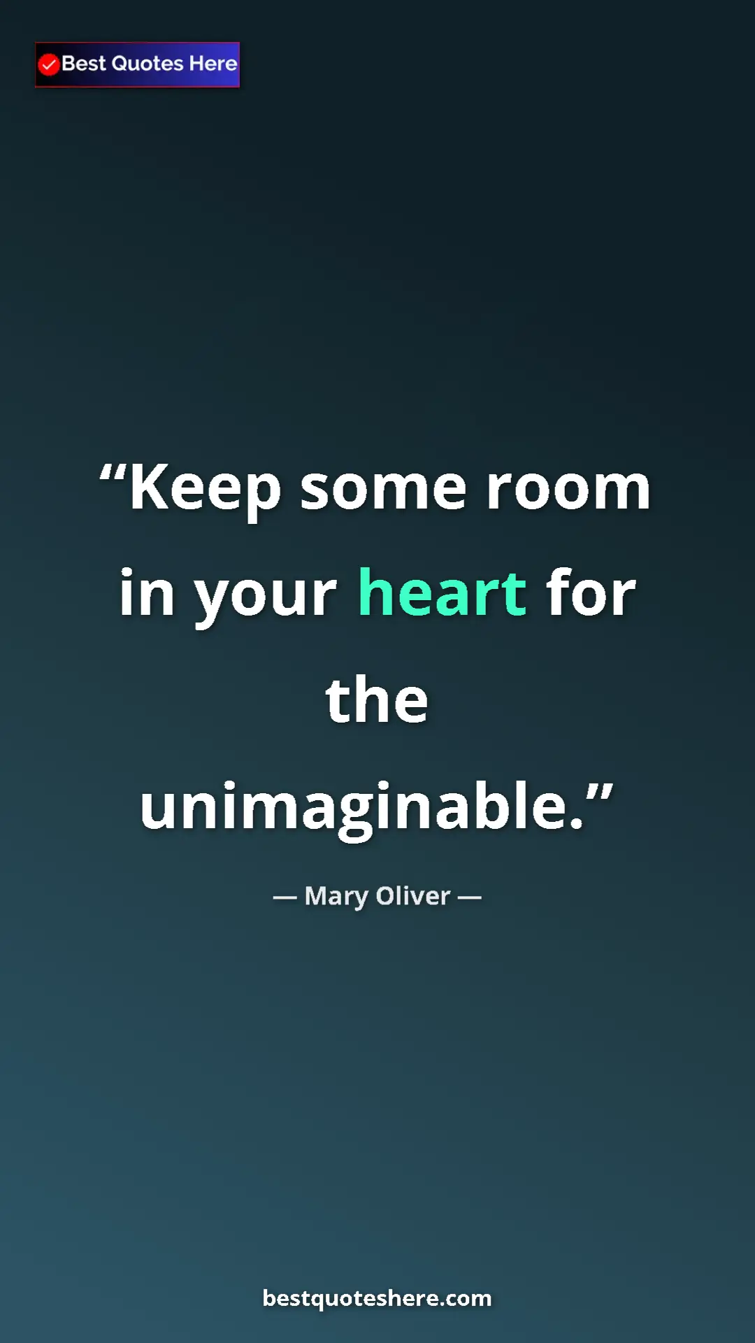 Pinterest quote poster by Mary Oliver: "Keep some room in your heart for the unimaginable."