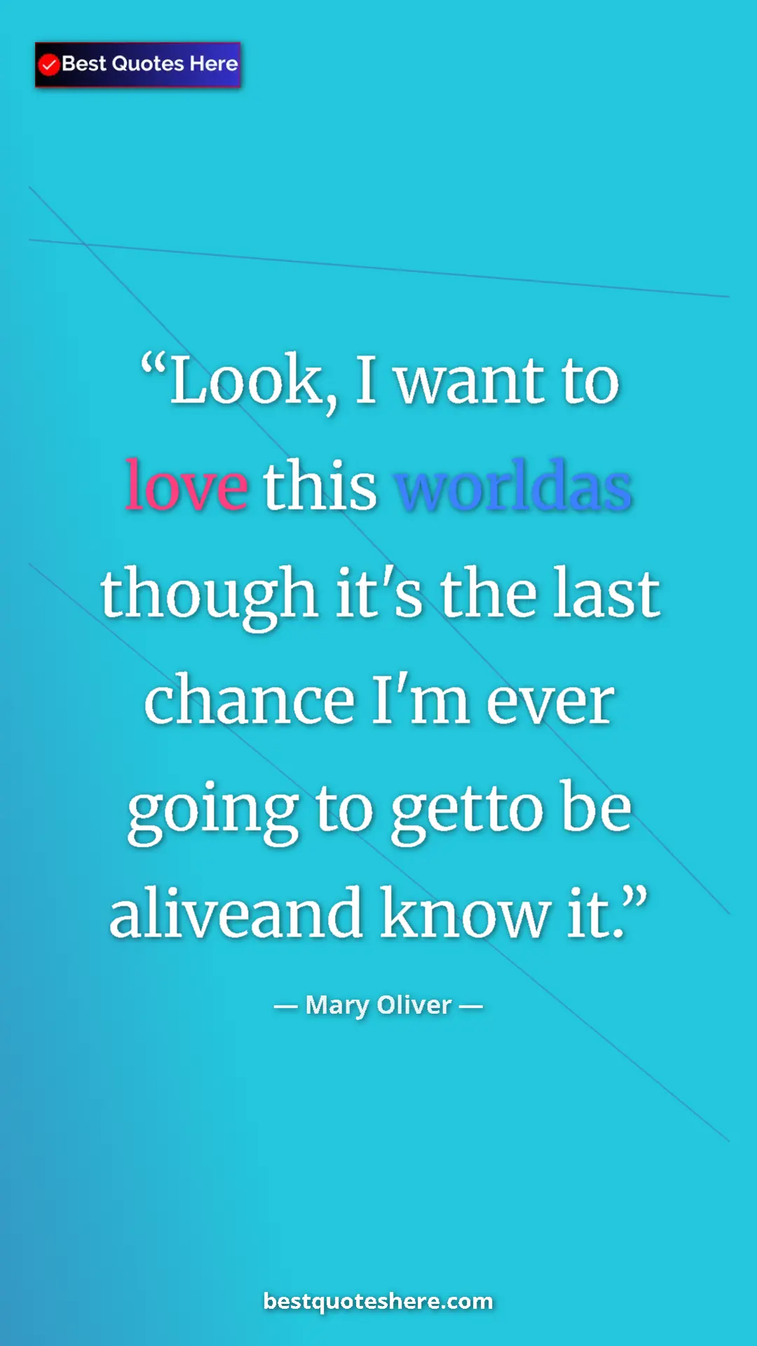 Pinterest quote poster by Mary Oliver: "Look, I want to love this worldas though it's the last..."