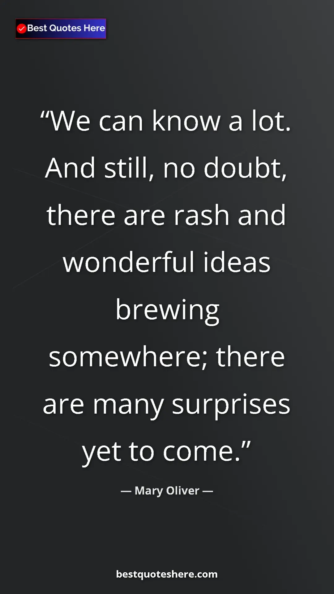 Pinterest quote poster by Mary Oliver: "We can know a lot.  And still, no doubt, there are rash and..."