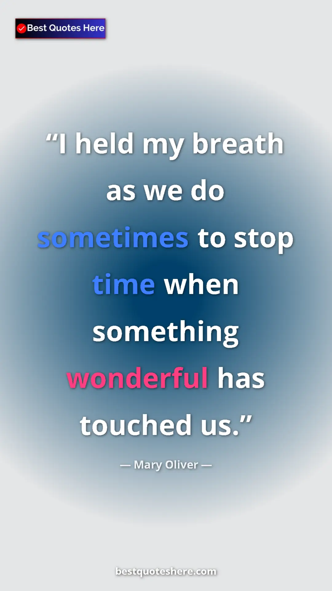 Pinterest quote poster by Mary Oliver: "I held my breath as we do sometimes to stop time when..."