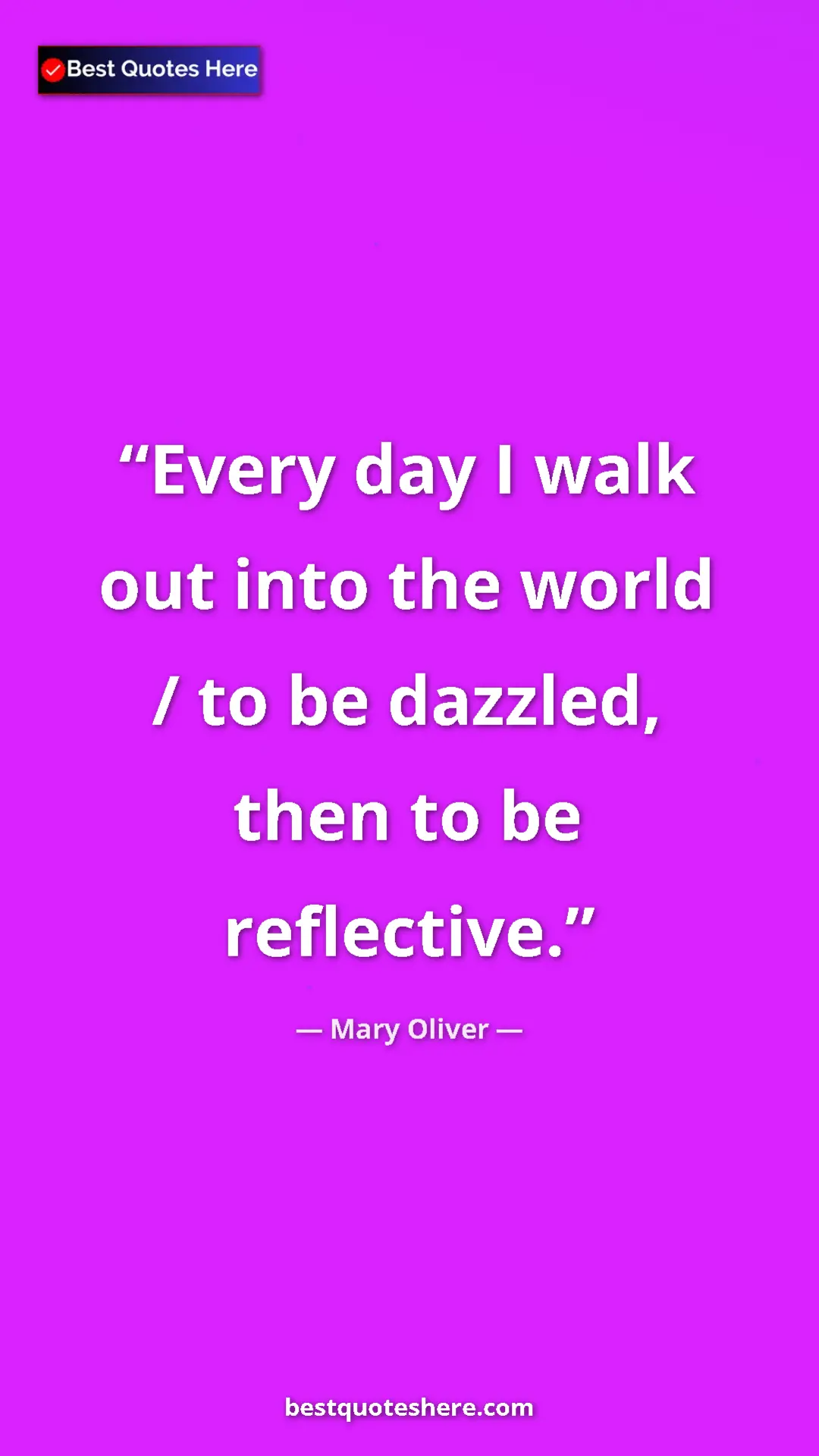 Pinterest quote poster by Mary Oliver: "Every day I walk out into the world / to be dazzled, then..."