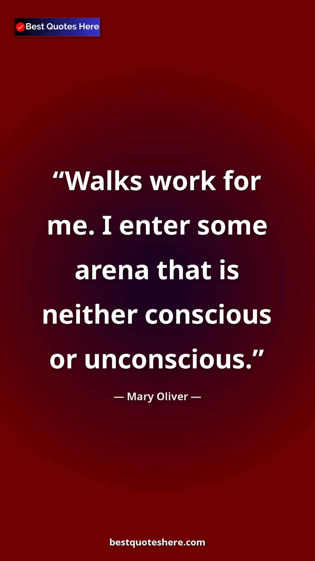 Pinterest quote poster by Mary Oliver: "Walks work for me. I enter some arena that is neither..."