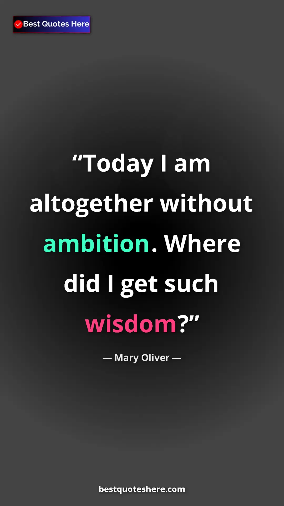 Pinterest quote poster by Mary Oliver: "Today I am altogether without ambition. Where did I get..."