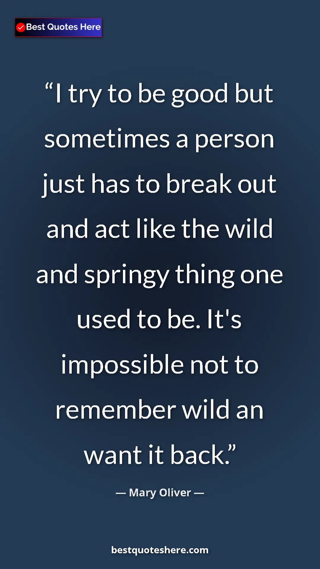 Pinterest quote poster by Mary Oliver: "I try to be good but sometimes a person just has to break..."