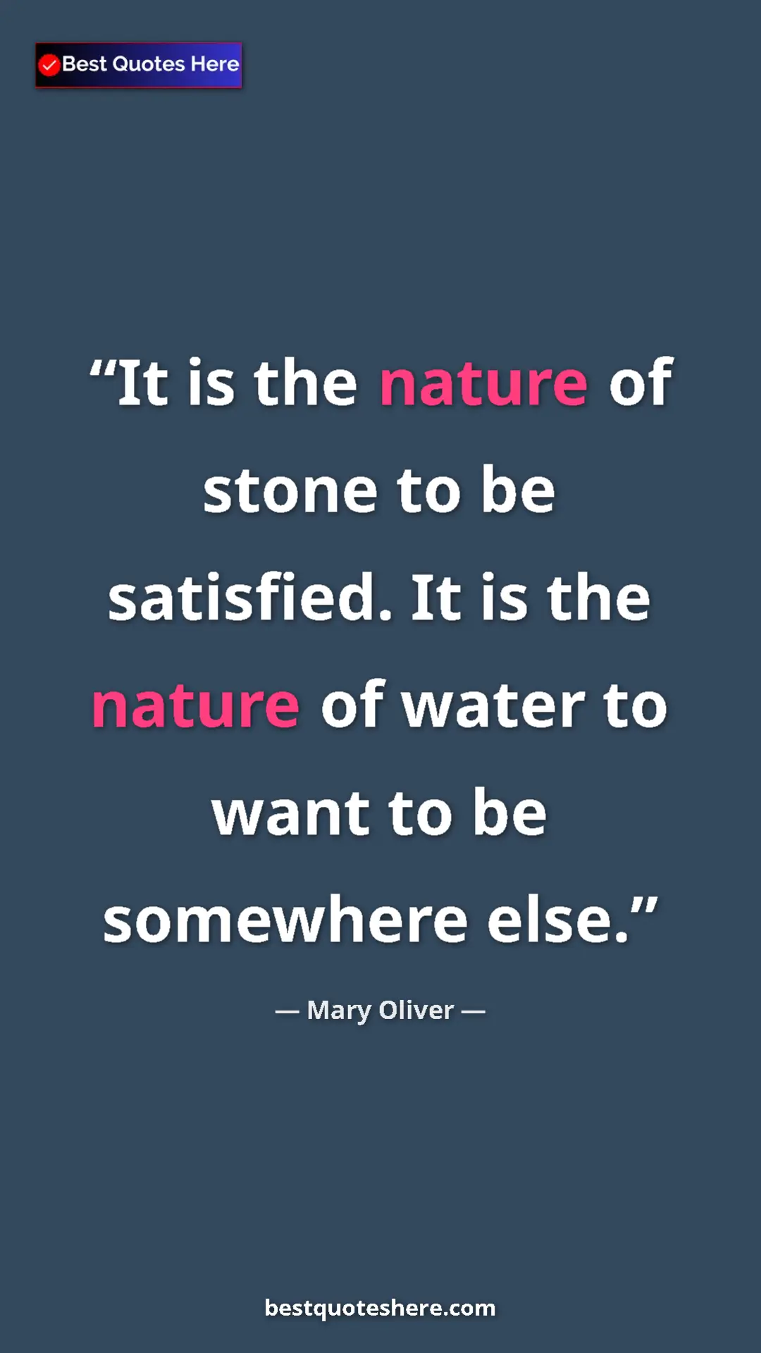 Pinterest quote poster by Mary Oliver: "It is the nature of stone to be satisfied. It is the nature..."