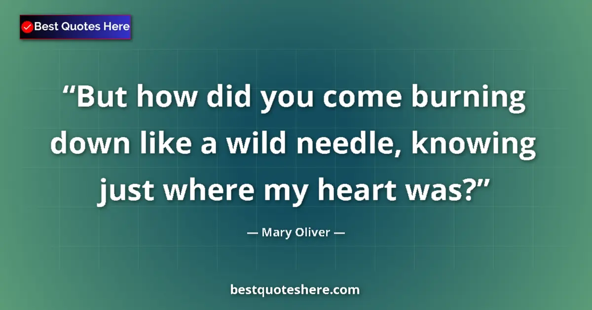 Image for the quote by Mary Oliver: But how did you come burning down like a wild needle, knowing just where my heart was?...