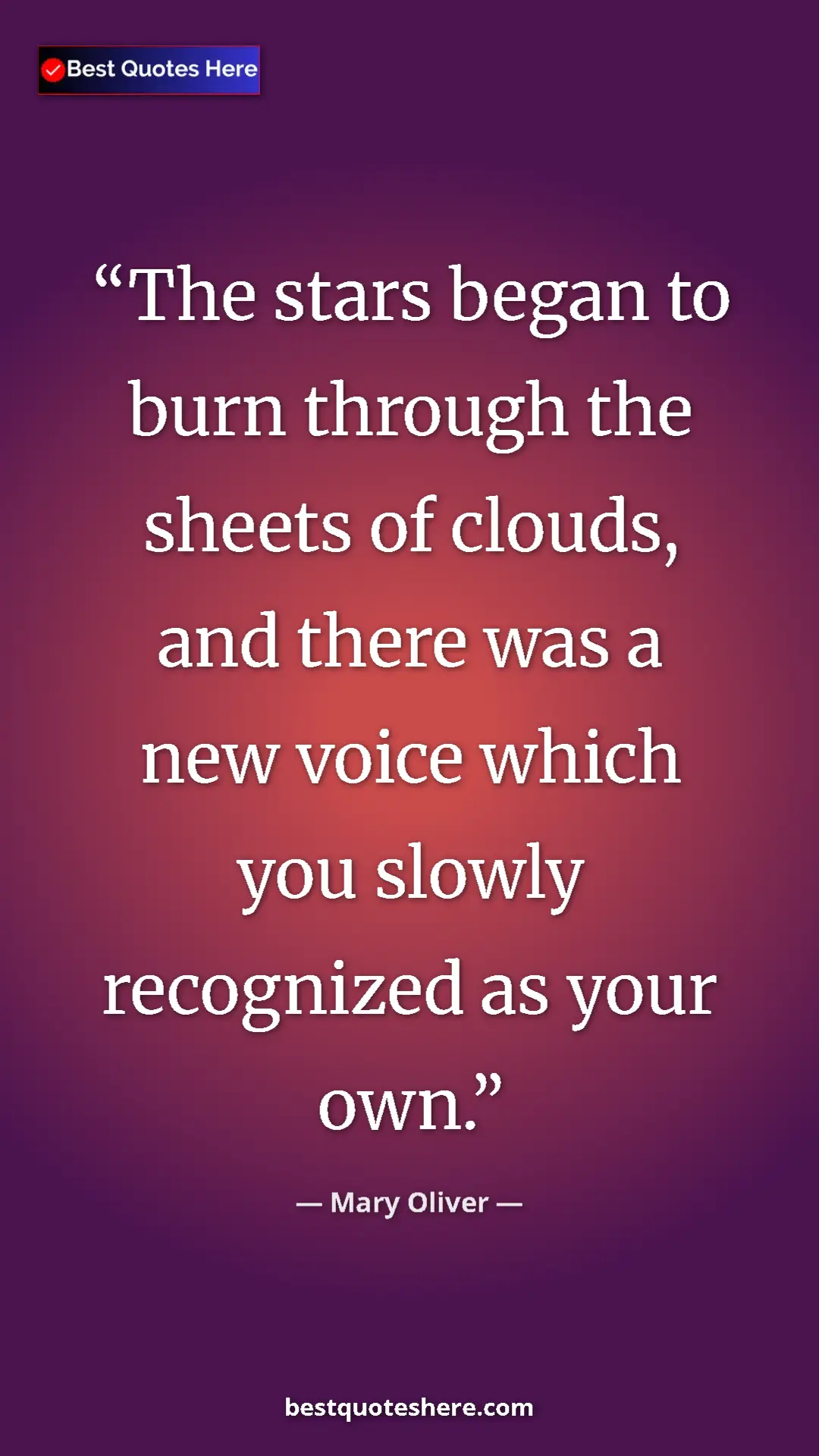Pinterest quote poster by Mary Oliver: "The stars began to burn through the sheets of clouds, and..."
