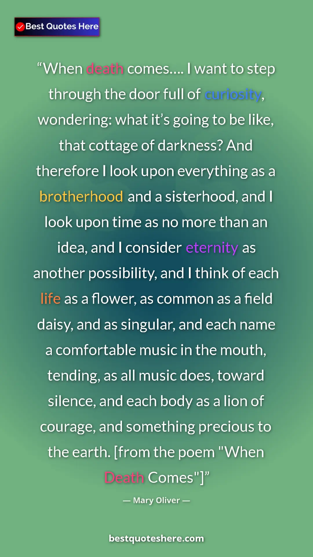 Pinterest quote poster by Mary Oliver: "When death comes…. I want to step through the door full of..."