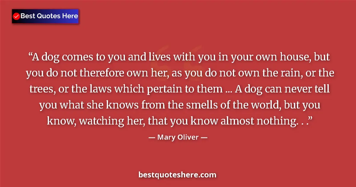 Quote by Mary Oliver: A dog comes to you and lives with you in your own house, but you do not therefore own her, as you do...
