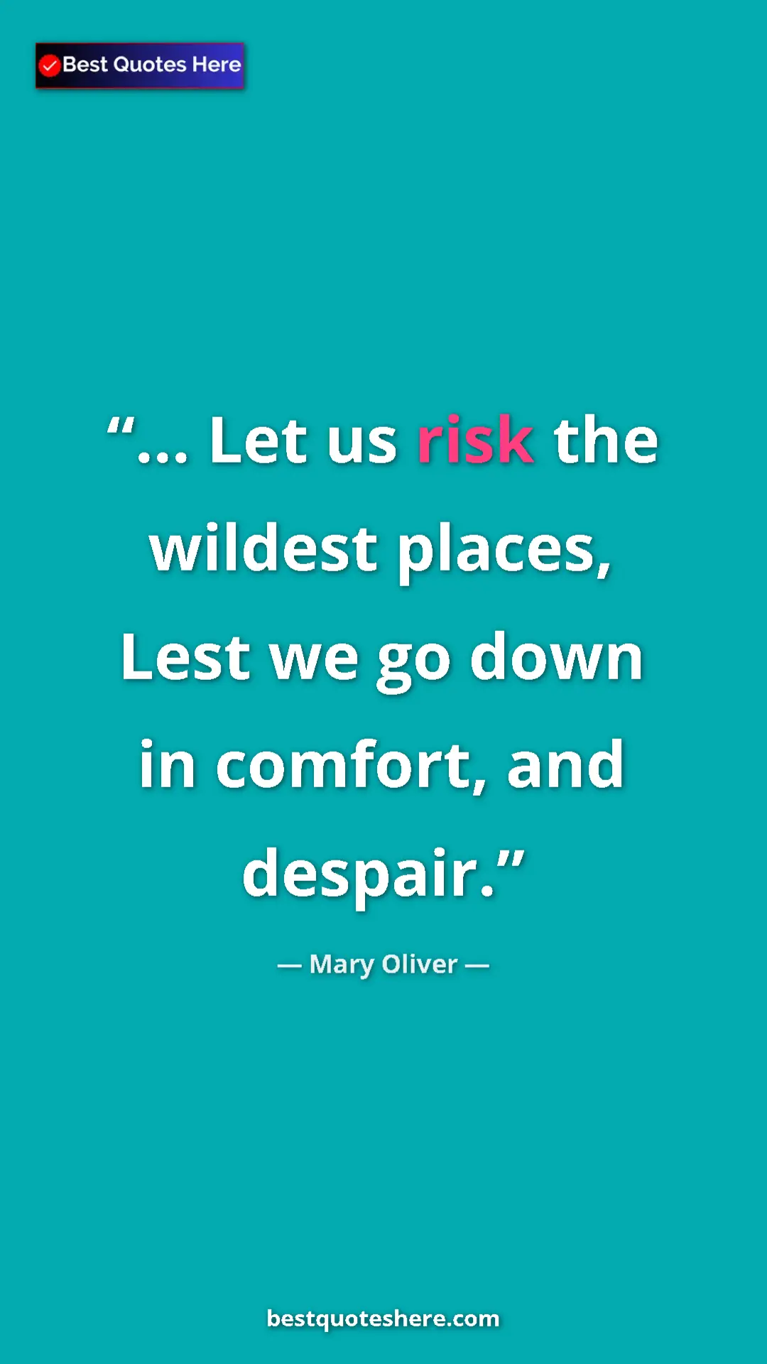Pinterest quote poster by Mary Oliver: "... Let us risk the wildest places, Lest we go down in..."