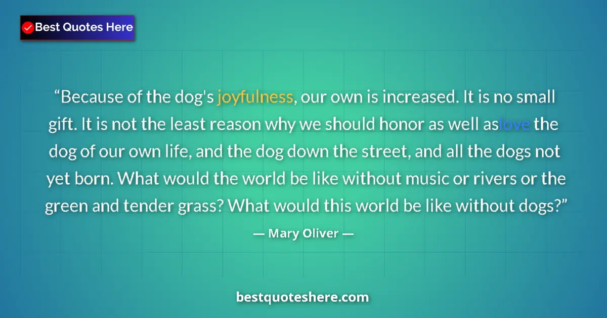 Image for the quote by Mary Oliver: Because of the dog's joyfulness, our own is increased. It is no small gift. It is not the least reas...
