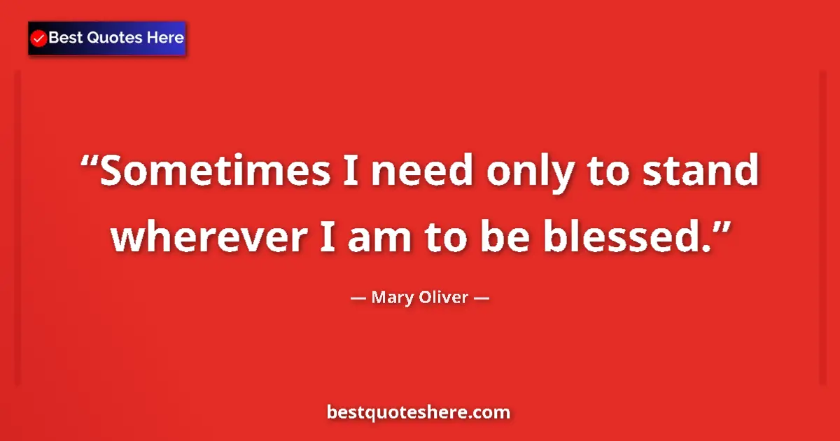 Quote by Mary Oliver: Sometimes I need only to stand wherever I am to be blessed....