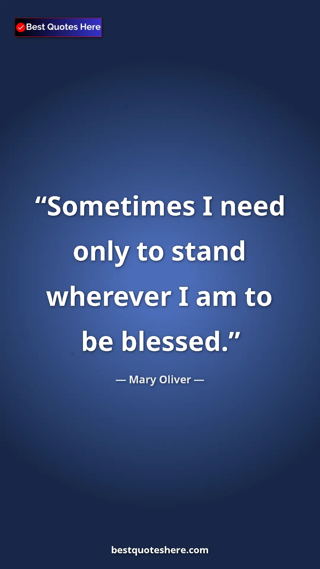 Pinterest quote poster by Mary Oliver: "Sometimes I need only to stand wherever I am to be blessed."