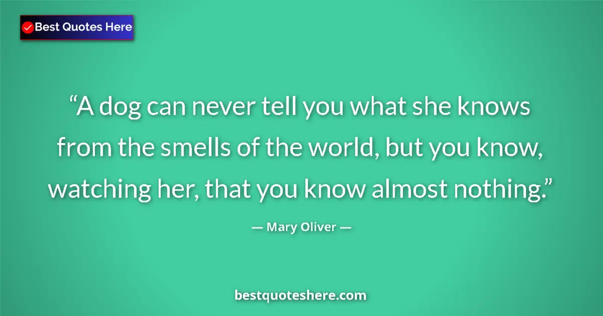 Mary Oliver Quote: "A dog can never tell you what she knows from the smells of..." Mary Oliver quote: "A dog can never tell you what she knows from the smells of..."