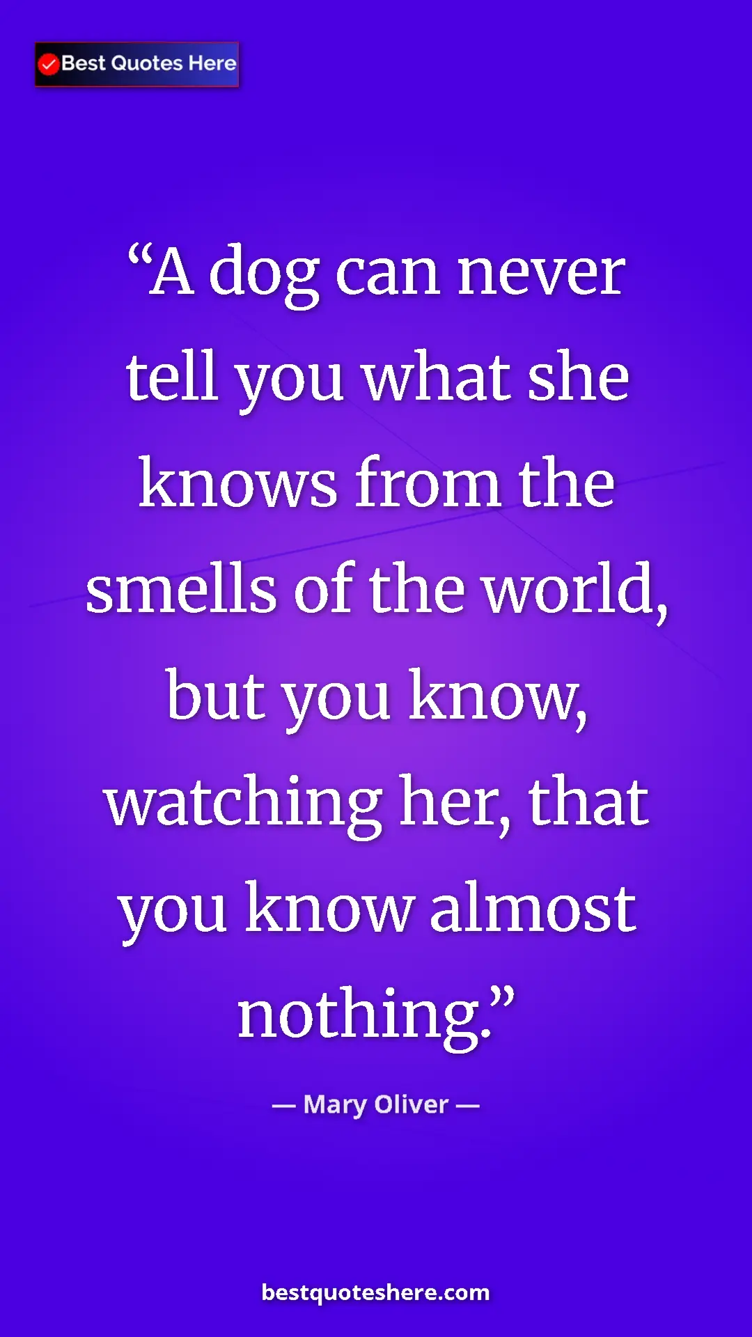 Mary Oliver Quote Card: "A dog can never tell you what she knows from the smells of..." Pinterest quote poster by Mary Oliver: "A dog can never tell you what she knows from the smells of..."