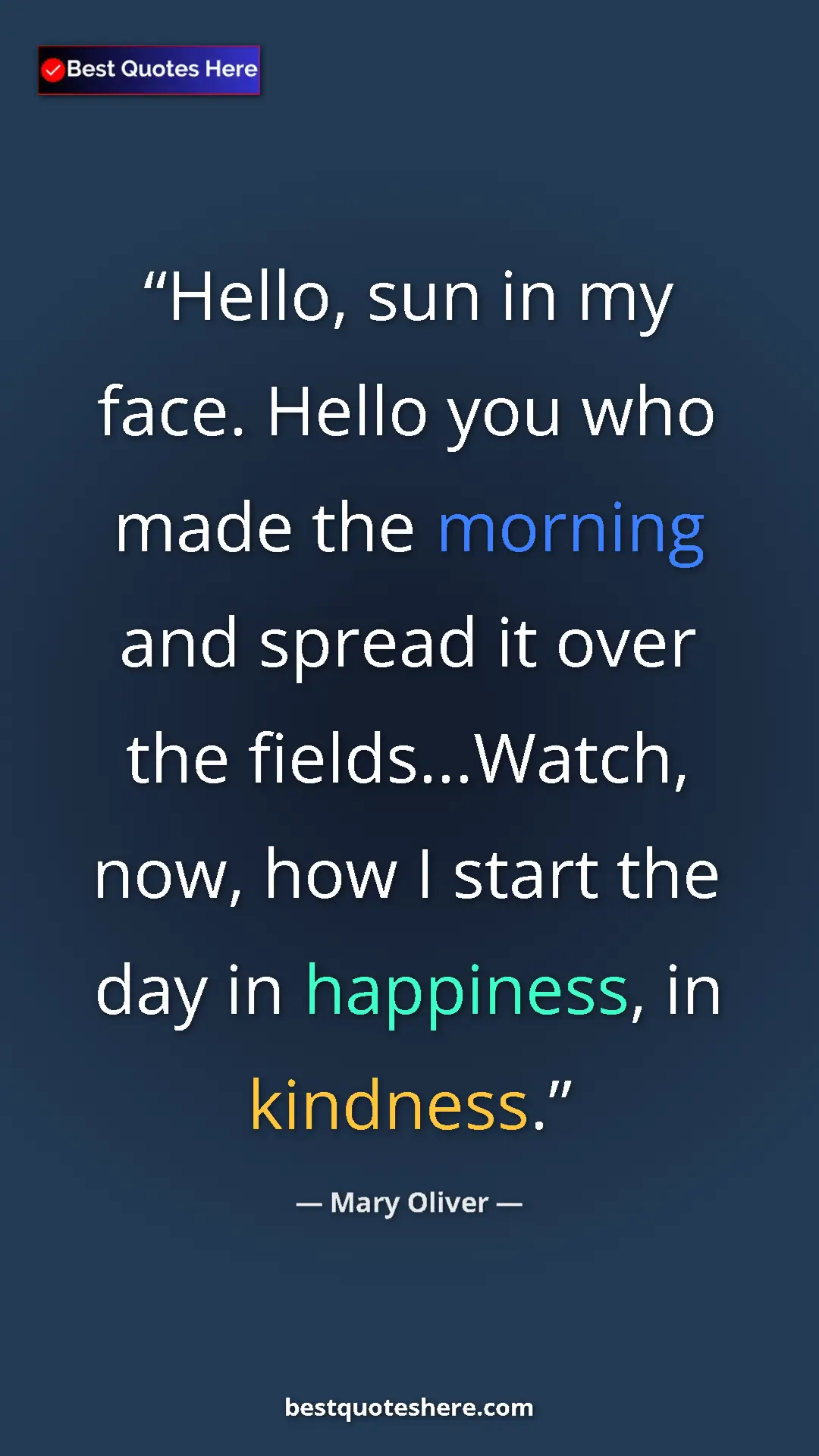 Pinterest quote poster by Mary Oliver: "Hello, sun in my face. Hello you who made the morning and..."