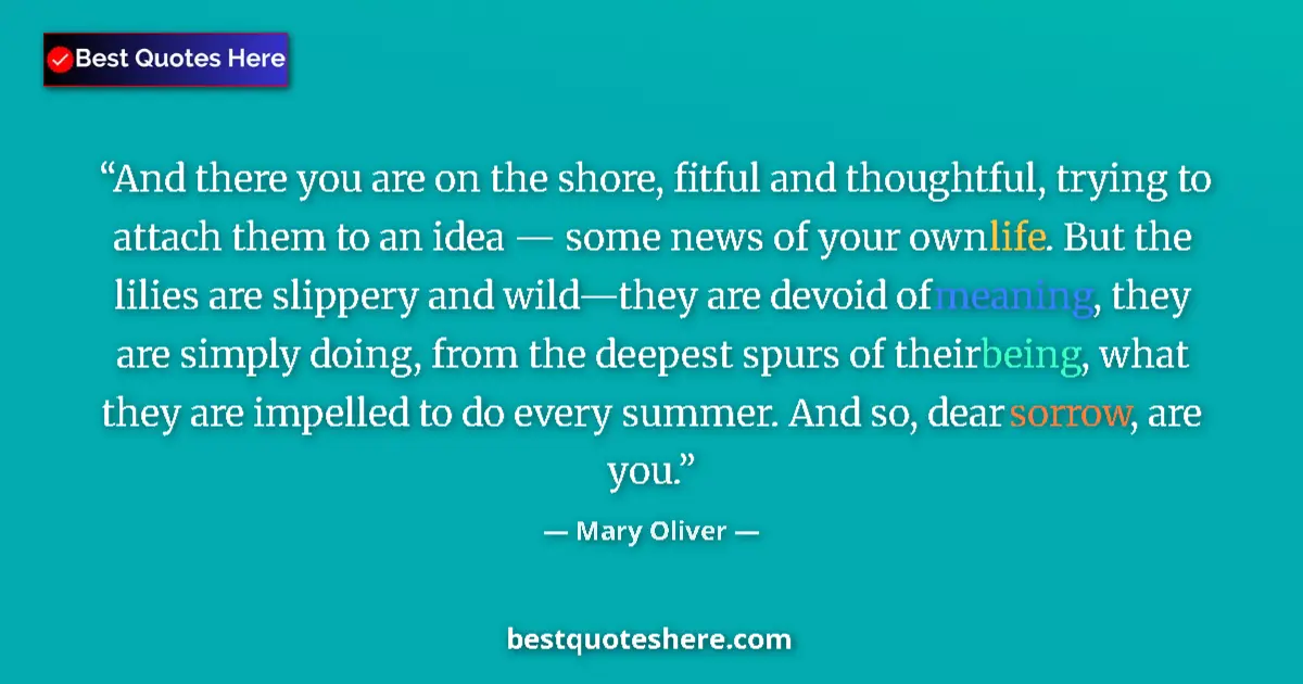 Quote by Mary Oliver: And there you are on the shore, fitful and thoughtful, trying to attach them to an idea — some news ...