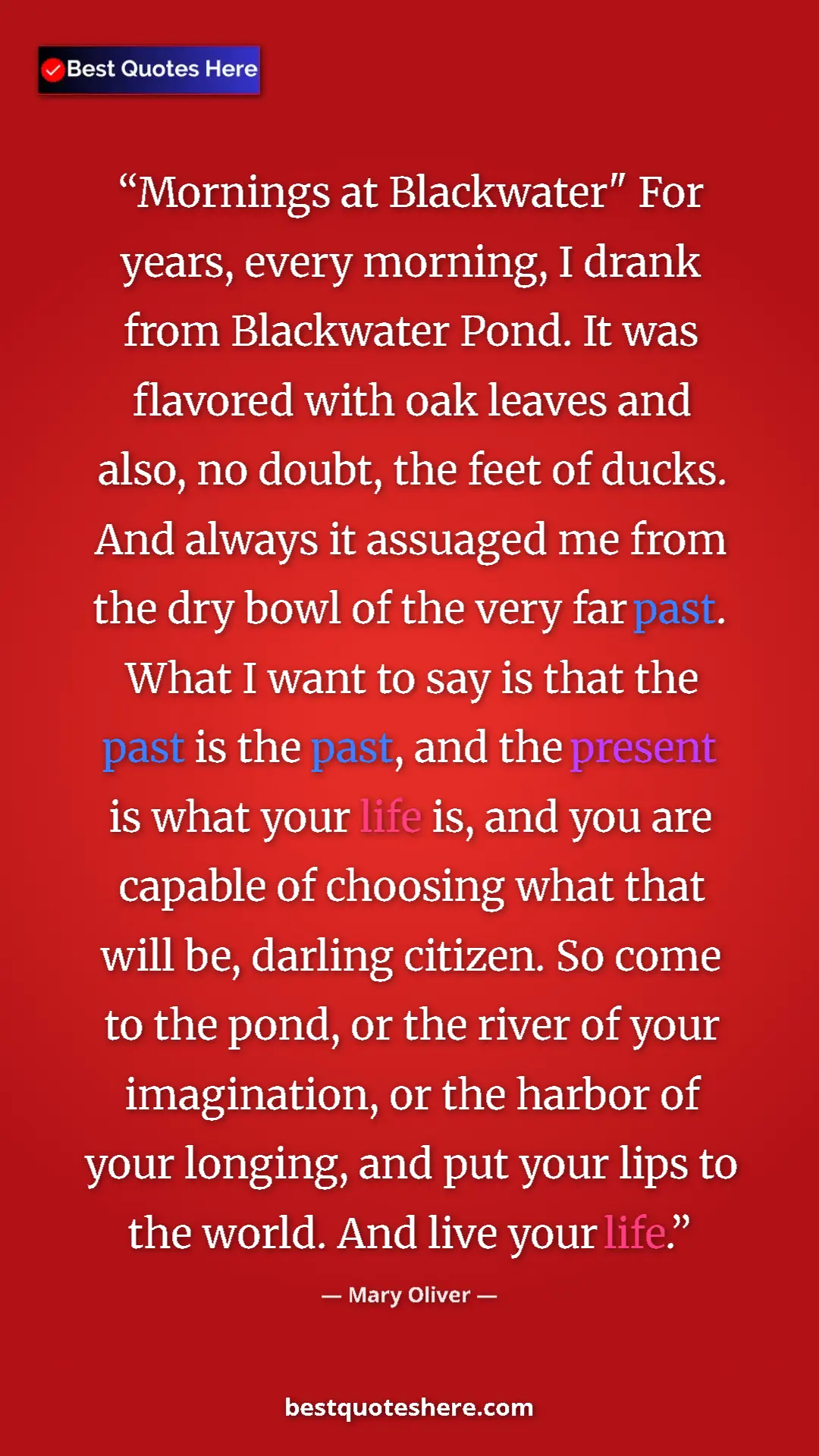 Pinterest quote poster by Mary Oliver: "Mornings at Blackwater" For years, every morning, I drank..."