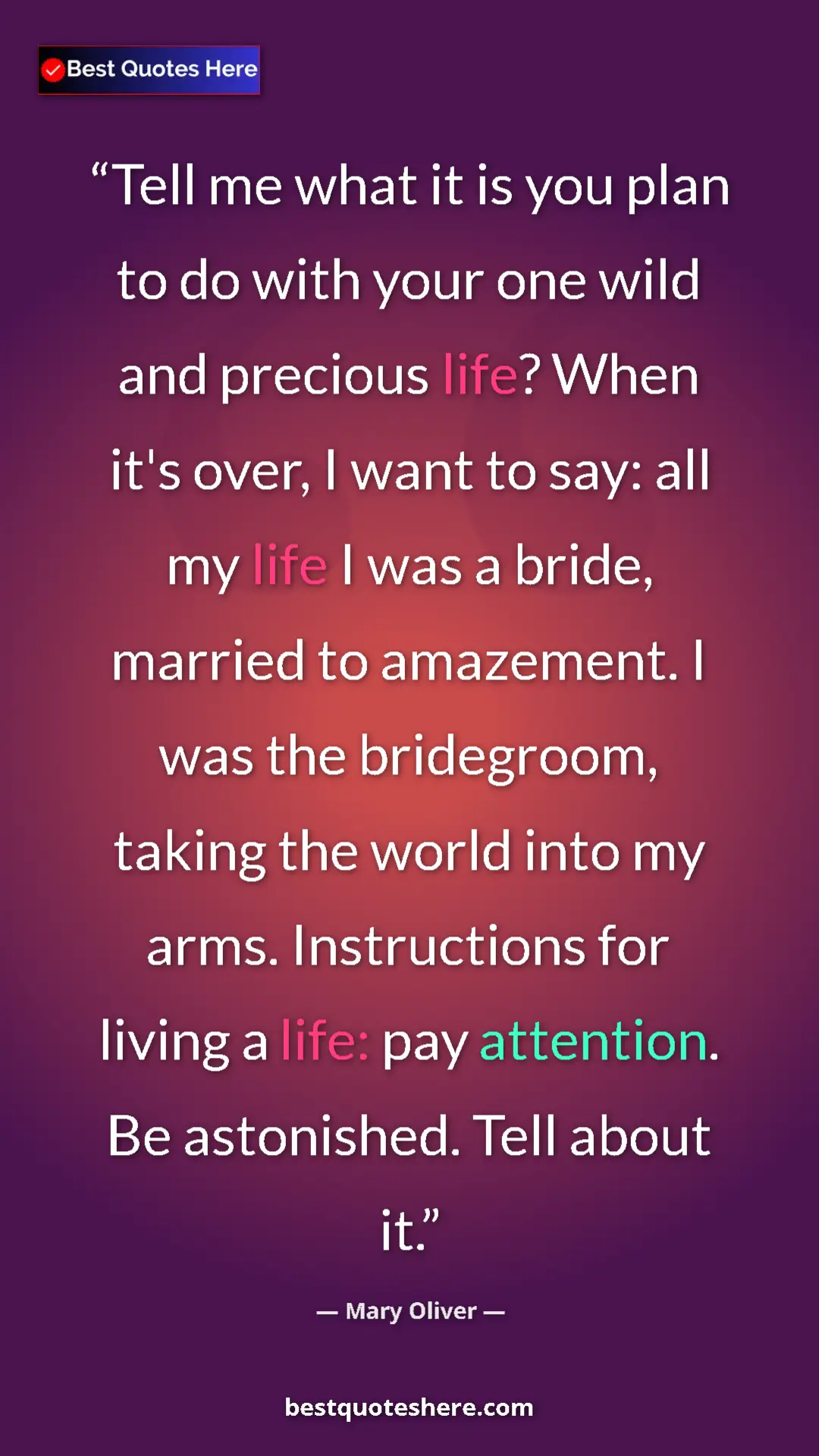 Mary Oliver Quote Card: "Tell me what it is you plan to do with your one wild and..." Pinterest quote poster by Mary Oliver: "Tell me what it is you plan to do with your one wild and..."