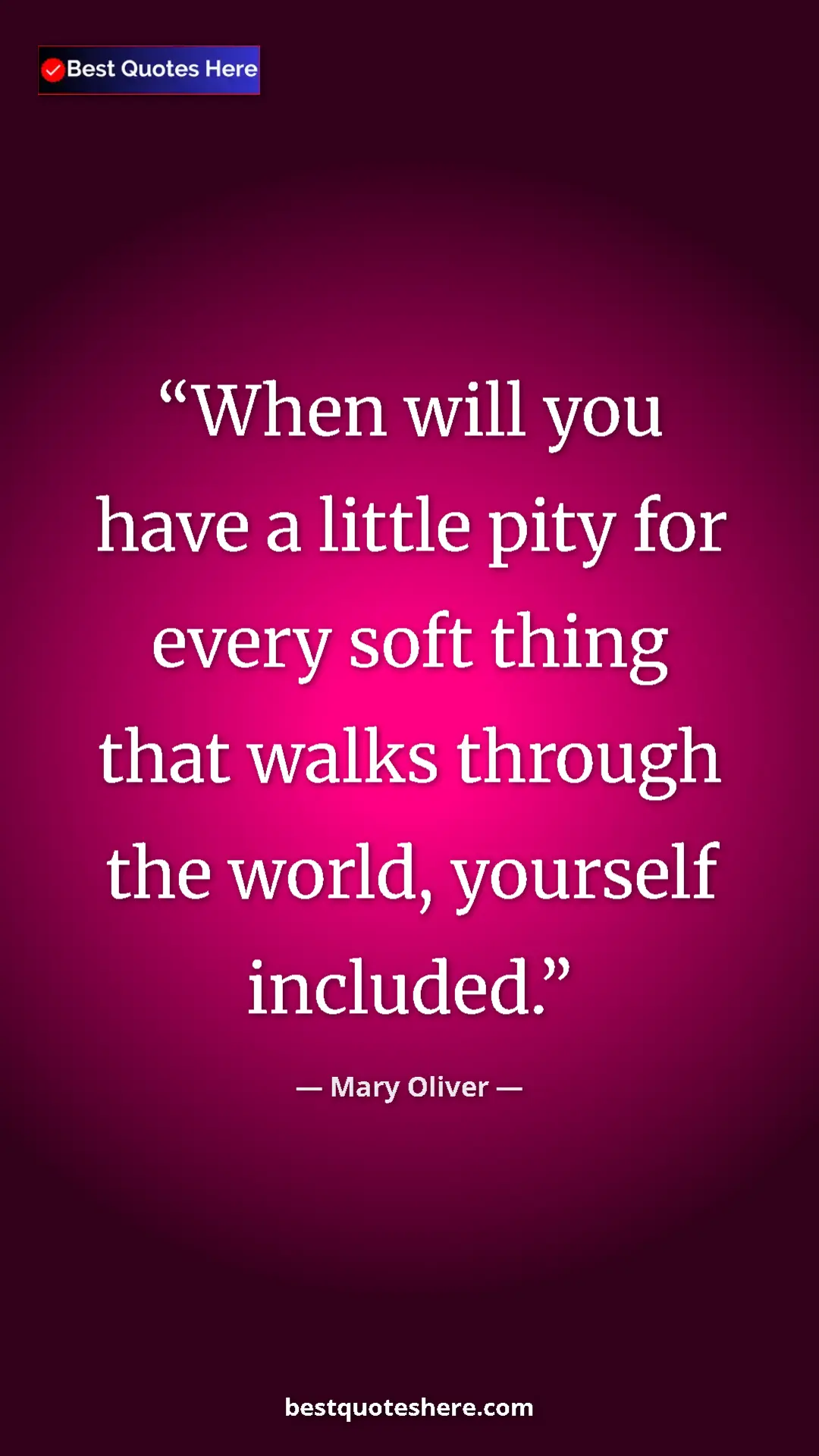 Pinterest quote poster by Mary Oliver: "When will you have a little pity for every soft thing that..."