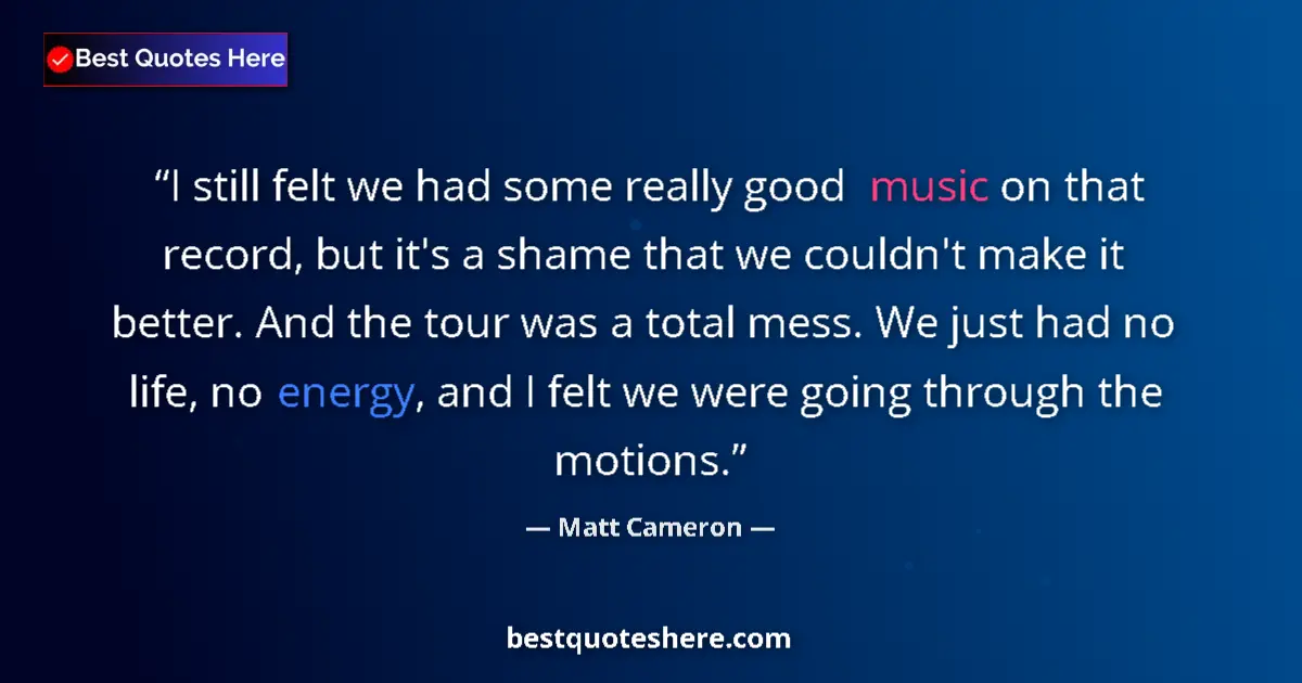 Quote by Matt Cameron: I still felt we had some really good music on that record, but it's a shame that we couldn't make it...