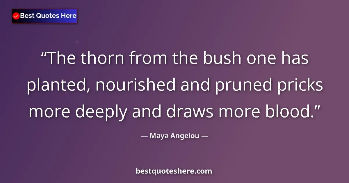 Quote by Maya Angelou: The thorn from the bush one has planted, nourished and pruned pricks more deeply and draws more bloo...