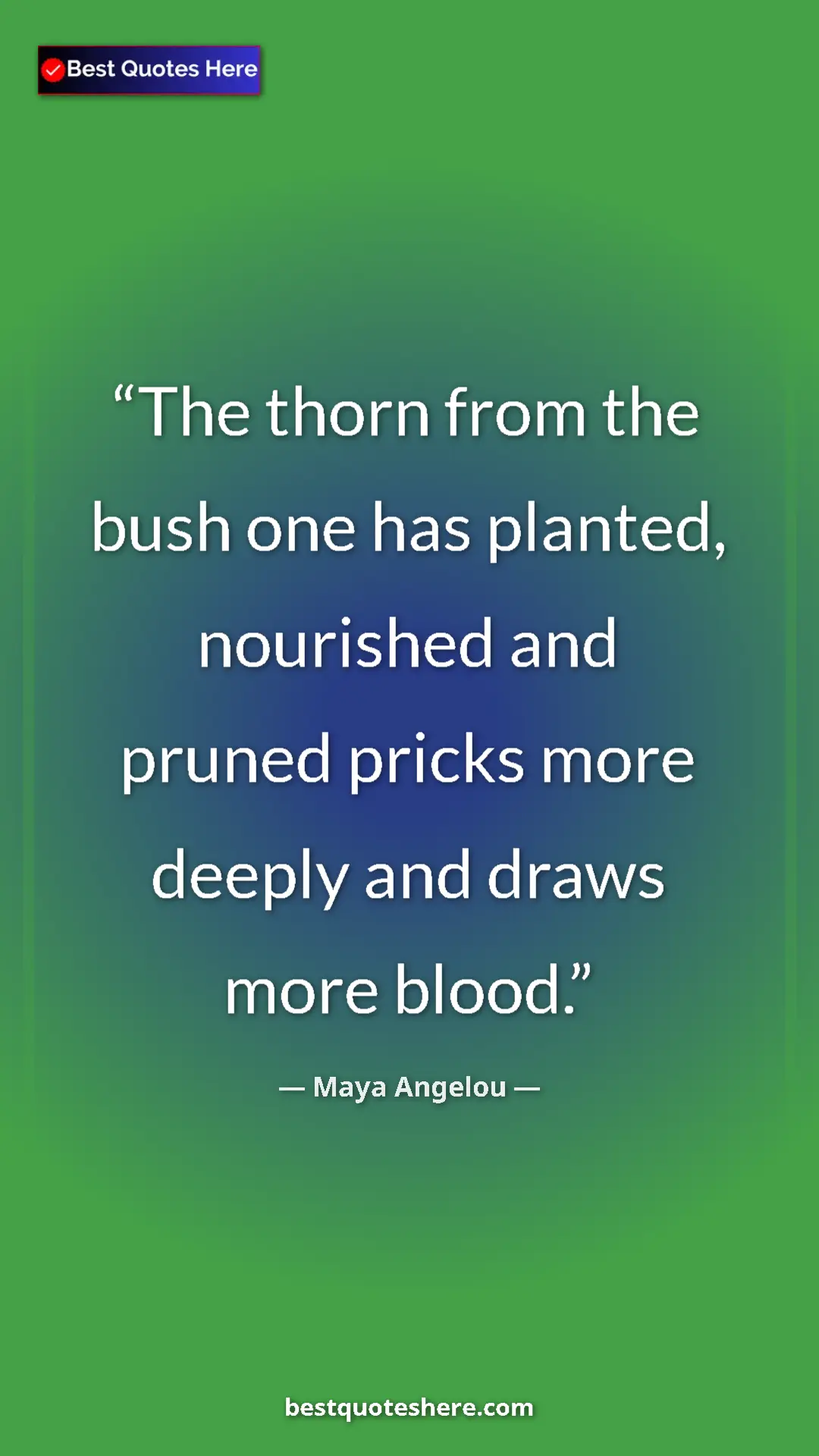 Pinterest quote poster by Maya Angelou: "The thorn from the bush one has planted, nourished and..."