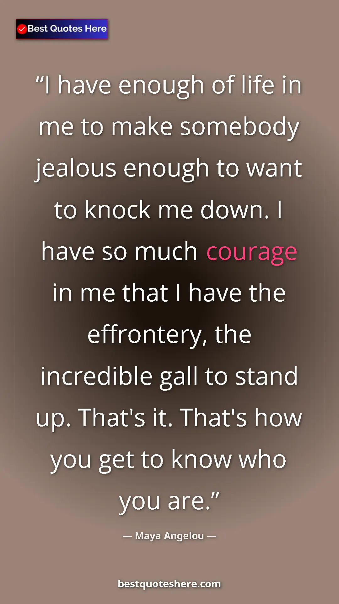 Pinterest quote poster by Maya Angelou: "I have enough of life in me to make somebody jealous enough..."