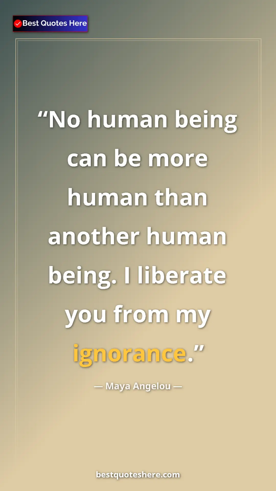 Pinterest quote poster by Maya Angelou: "No human being can be more human than another human being...."