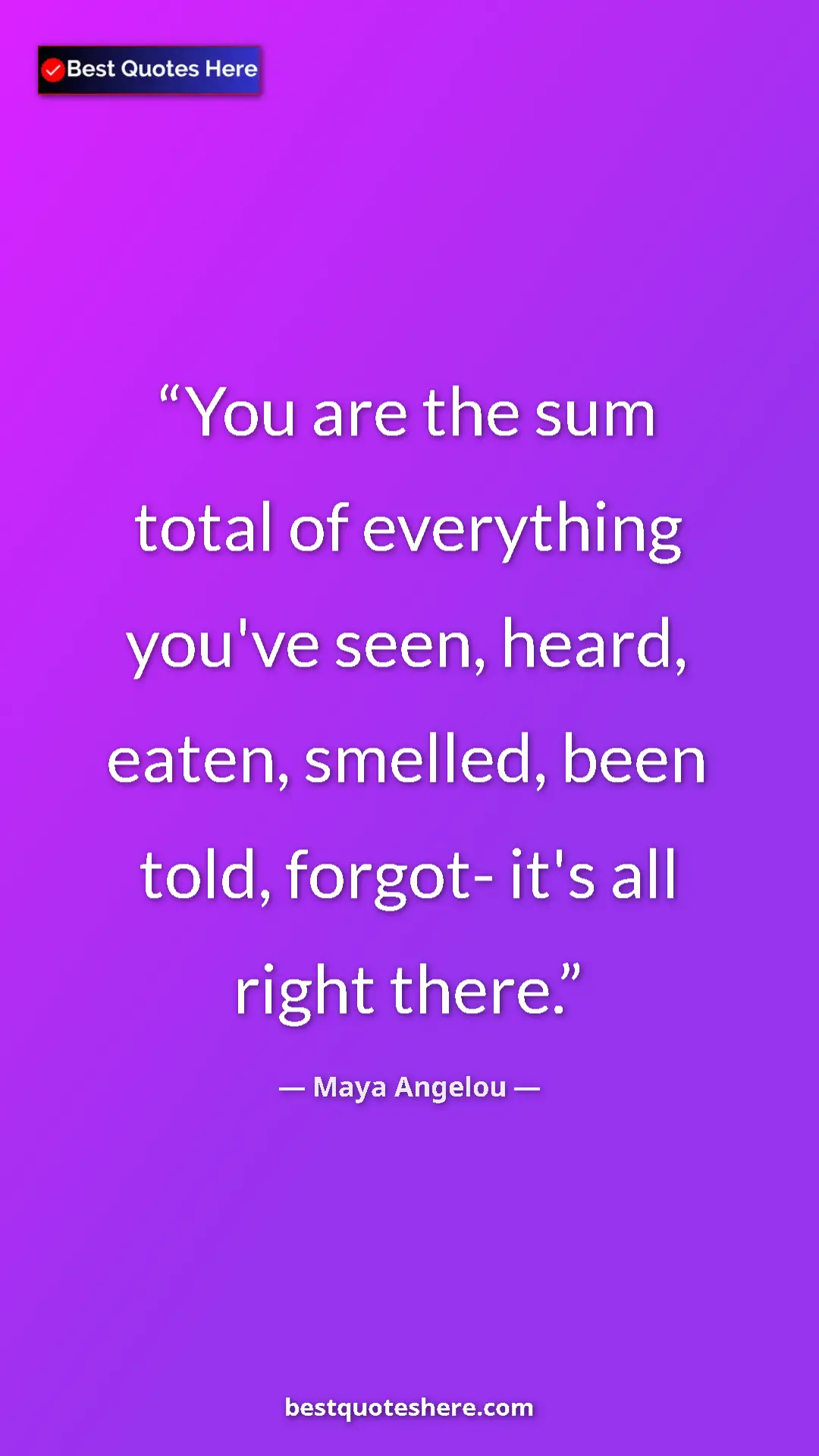 Pinterest quote poster by Maya Angelou: "You are the sum total of everything you've seen, heard,..."