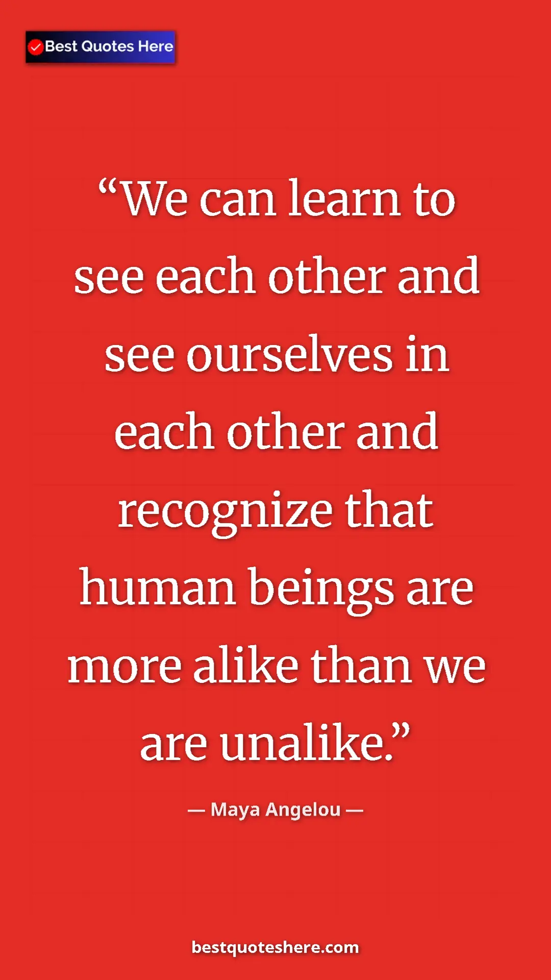 Pinterest quote poster by Maya Angelou: "We can learn to see each other and see ourselves in each..."