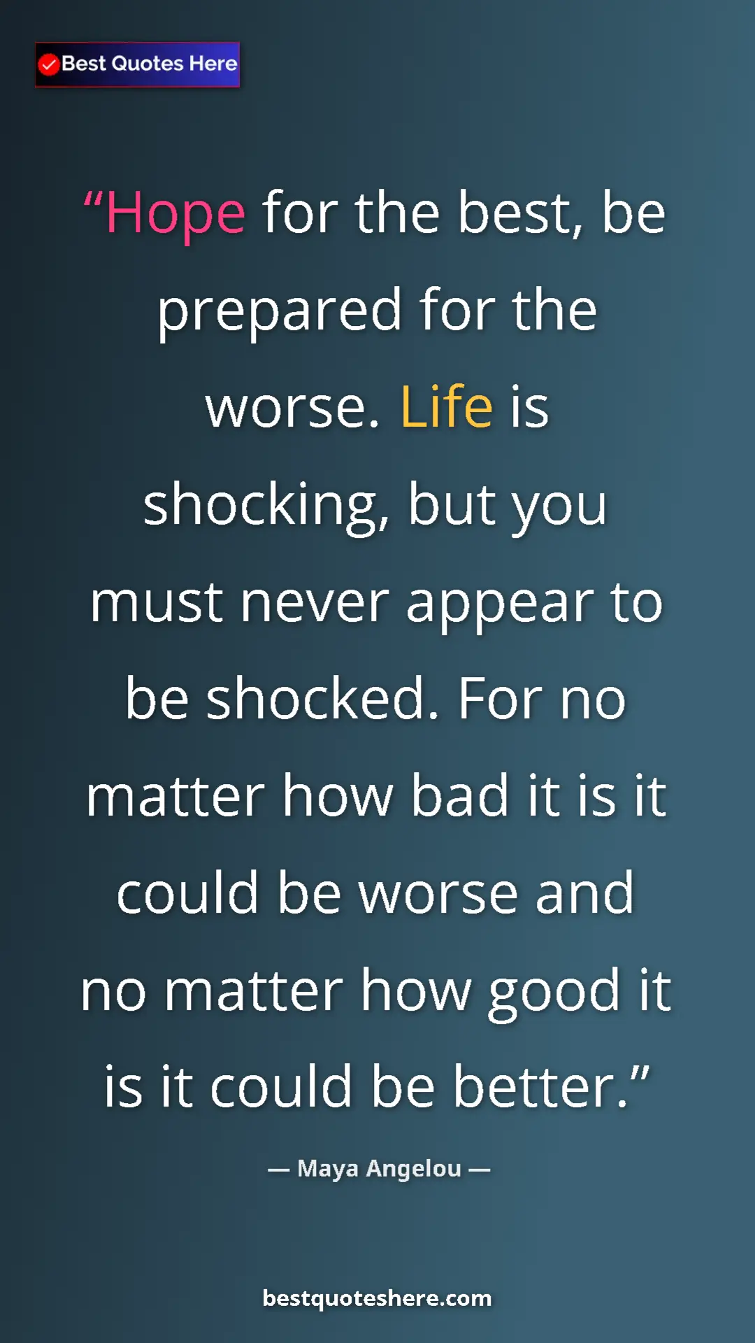 Pinterest quote poster by Maya Angelou: "Hope for the best, be prepared for the worse. Life is..."