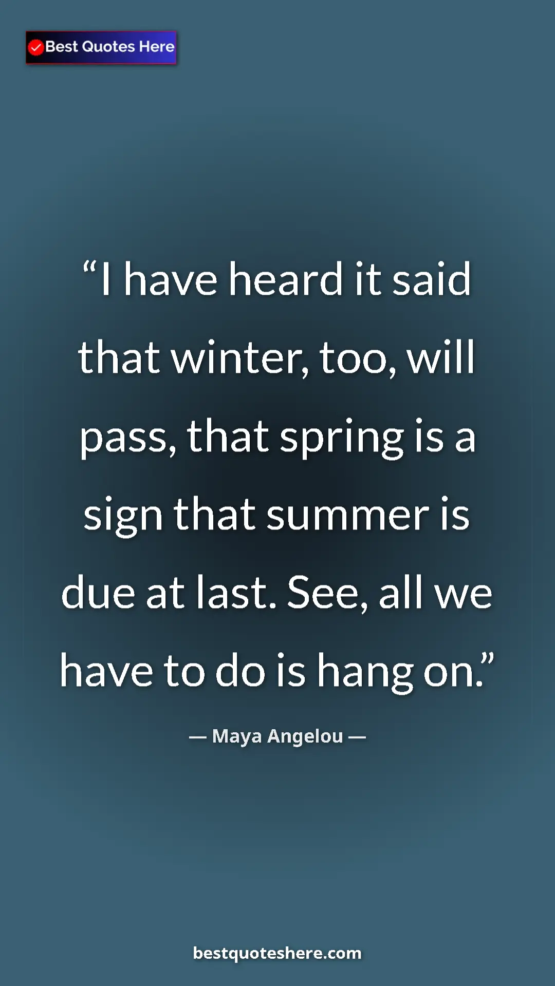 Pinterest quote poster by Maya Angelou: "I have heard it said that winter, too, will pass, that..."