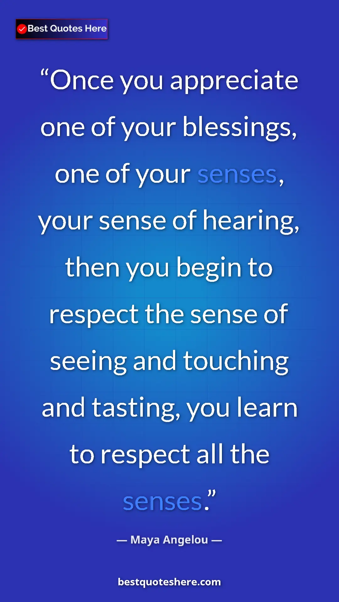 Pinterest quote poster by Maya Angelou: "Once you appreciate one of your blessings, one of your..."