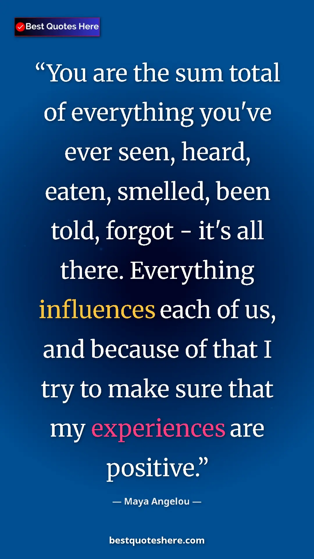 Pinterest quote poster by Maya Angelou: "You are the sum total of everything you've ever seen,..."