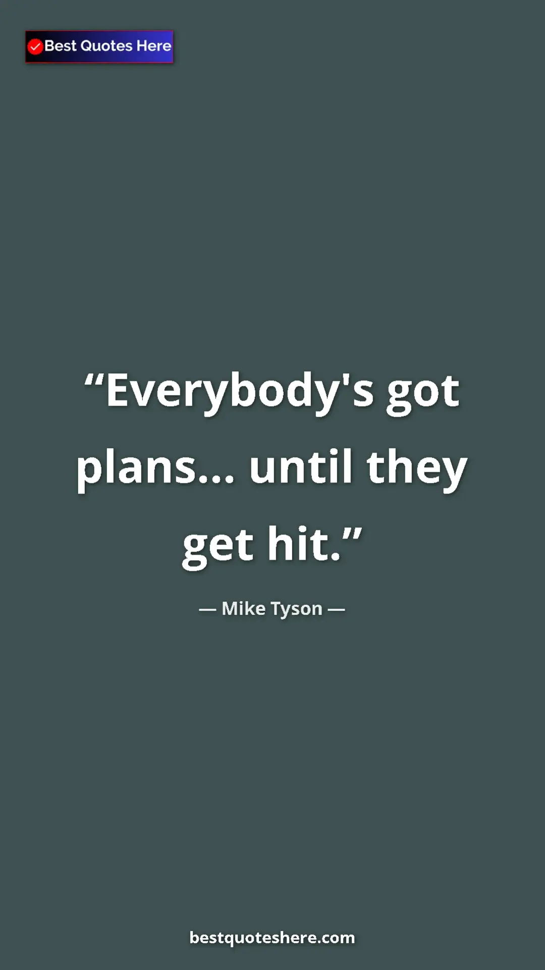 Pinterest quote poster by Mike Tyson: "Everybody's got plans... until they get hit."