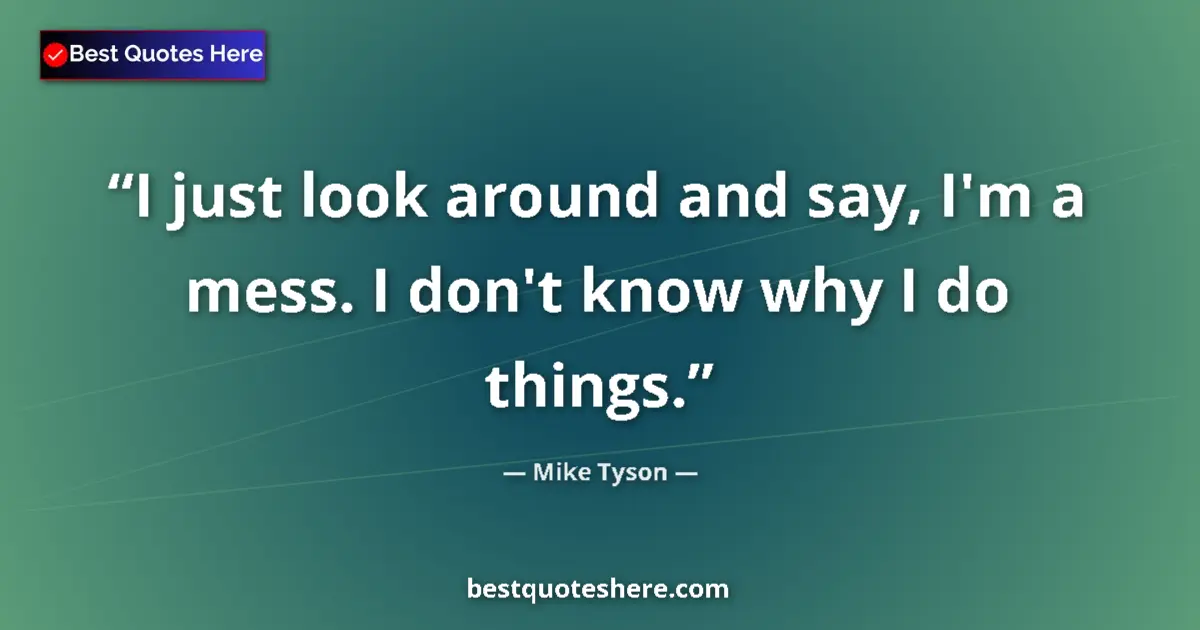 Quote by Mike Tyson: I just look around and say, I'm a mess. I don't know why I do things....