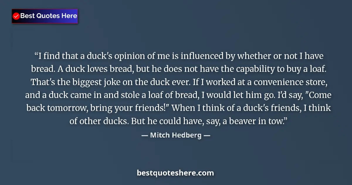 Quote by Mitch Hedberg: I find that a duck's opinion of me is influenced by whether or not I have bread. A duck loves bread,...