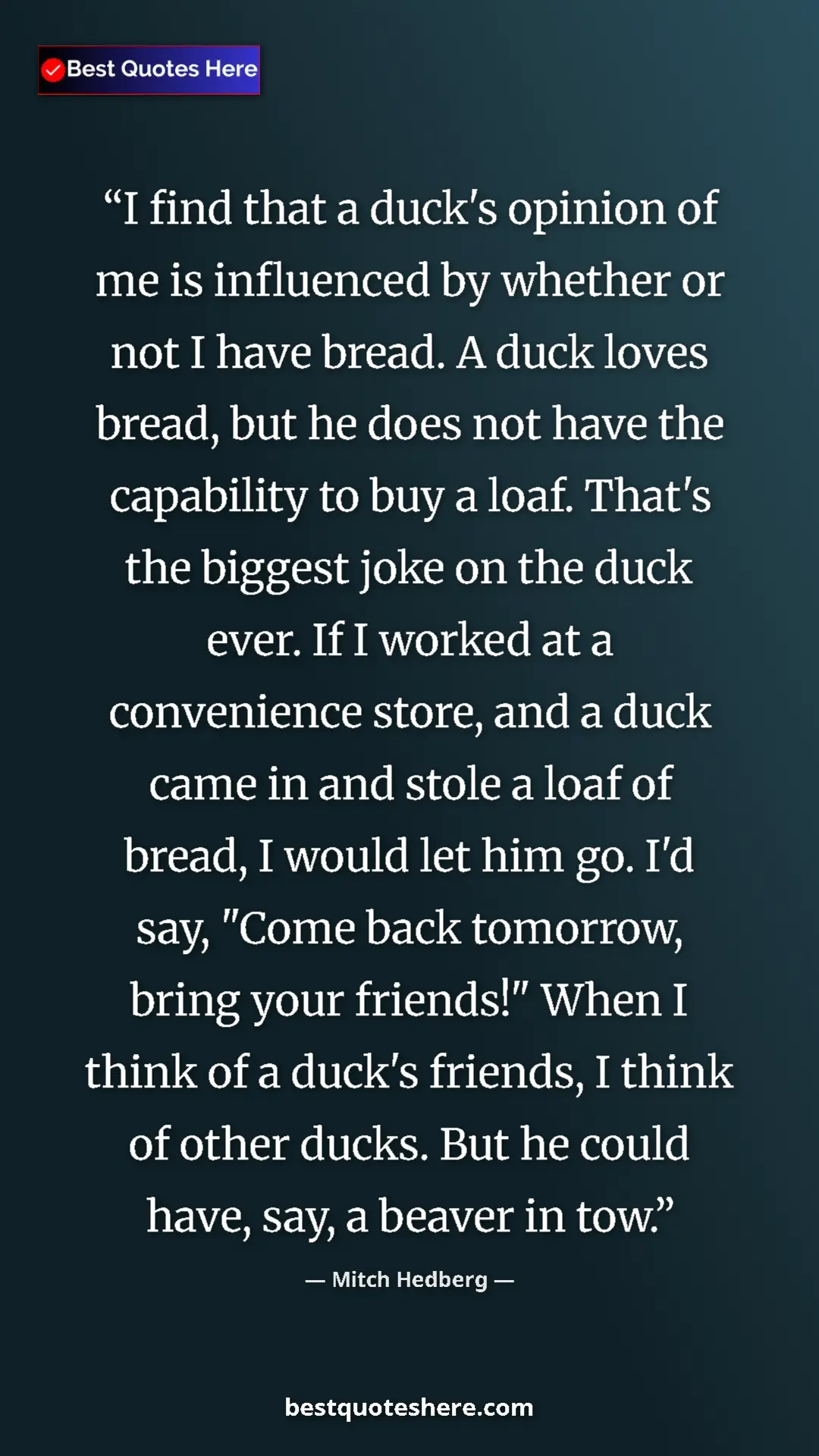 Pinterest quote poster by Mitch Hedberg: "I find that a duck's opinion of me is influenced by whether..."
